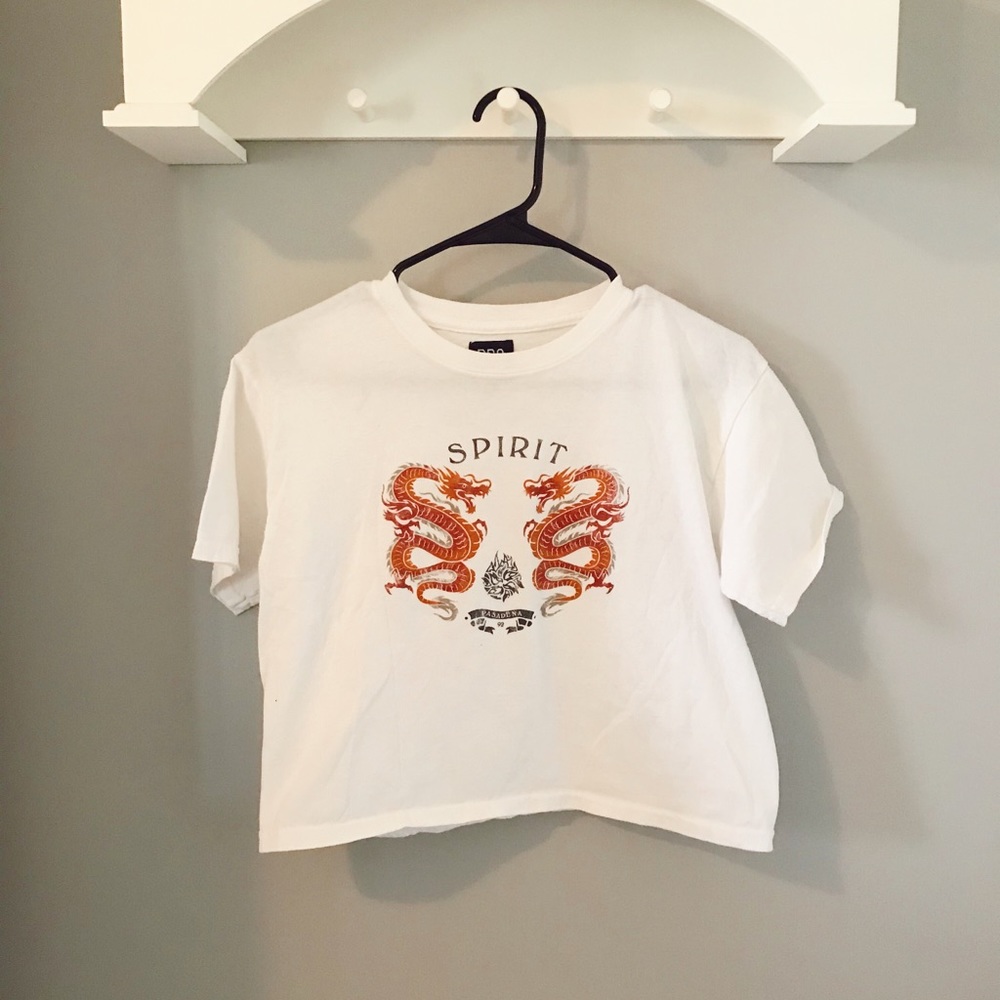 SOLD urban outfitters BDG graphic crop tee